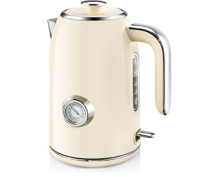 Stainless Steel Tea Kettle