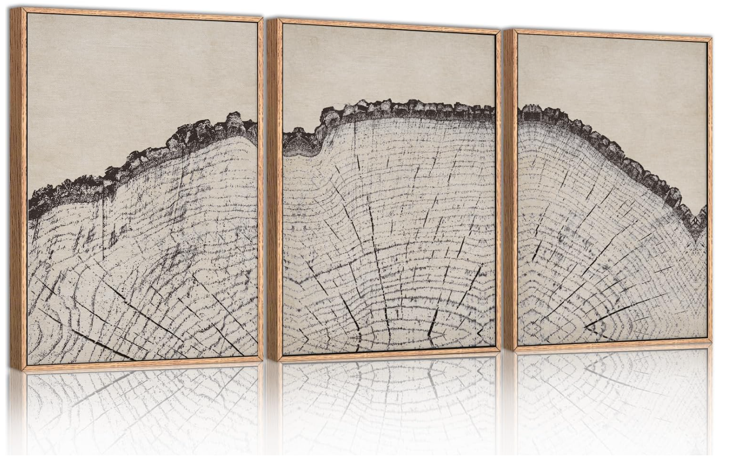 Vintage Wood Tree Rings Wall Art Set