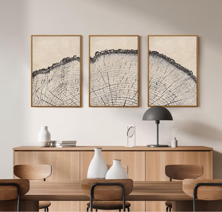 Vintage Wood Tree Rings Wall Art Set